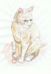 ねこ７