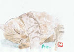 ねこ８