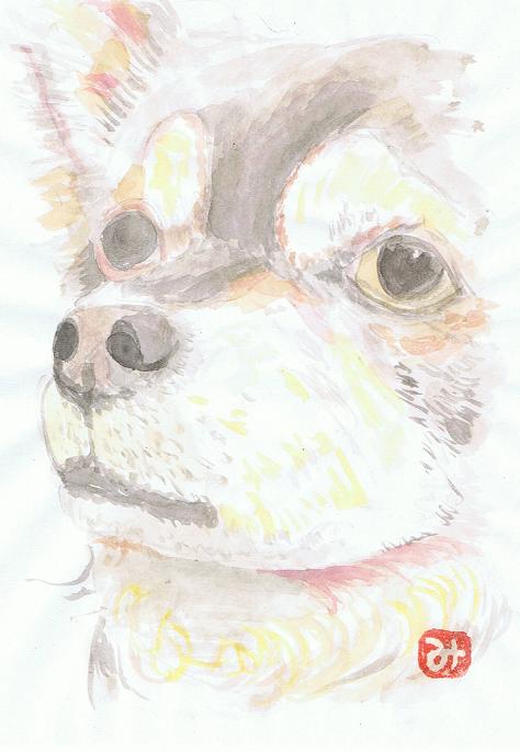犬30