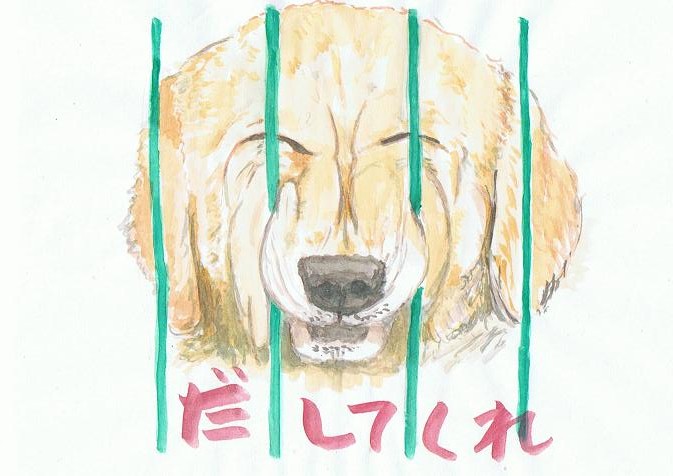 犬32