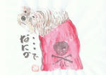 犬33