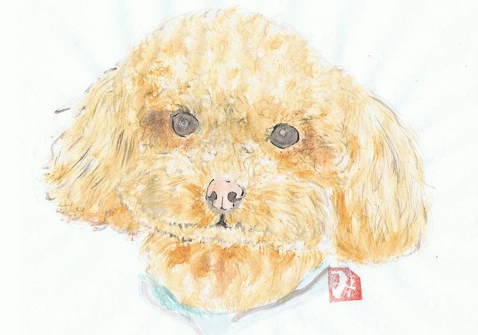 犬36