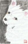 犬38