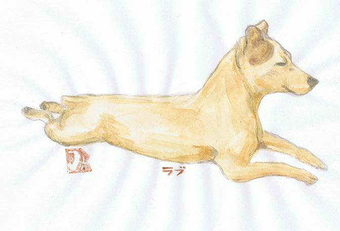 rabu