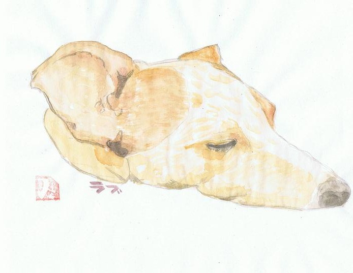 らぶ２