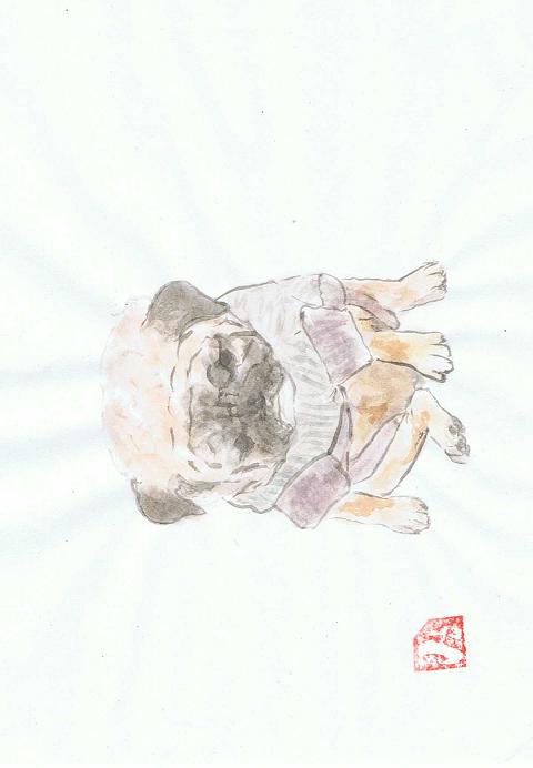 犬50