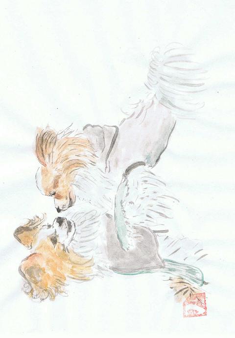 犬51