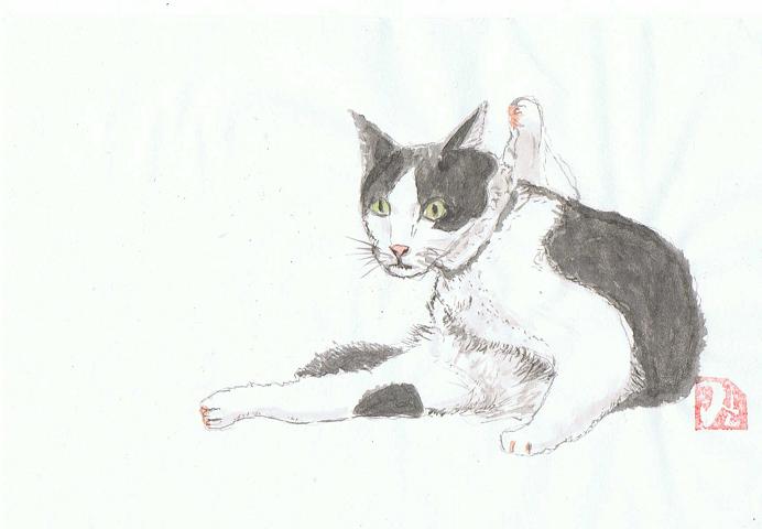 猫3