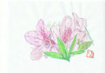 花２