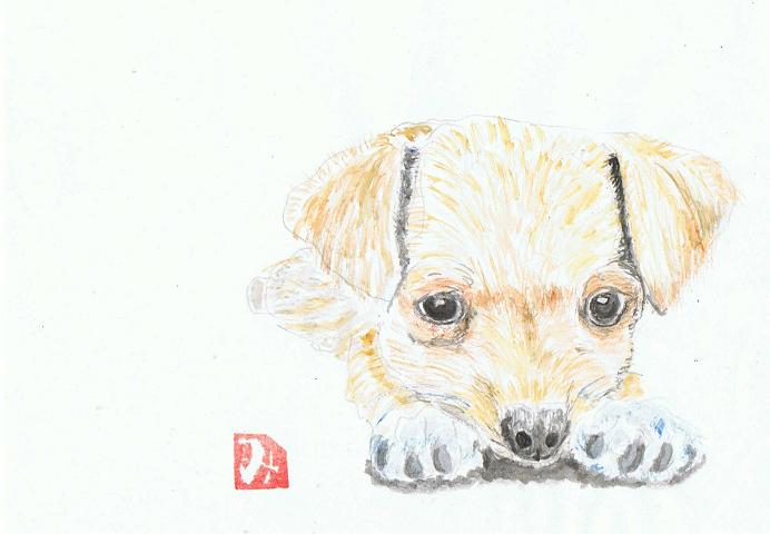 犬67