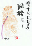 犬68