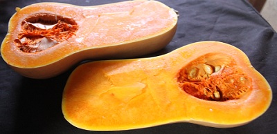 バターナッツかぼちゃ