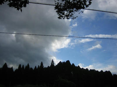 IMG_1037.JPG
