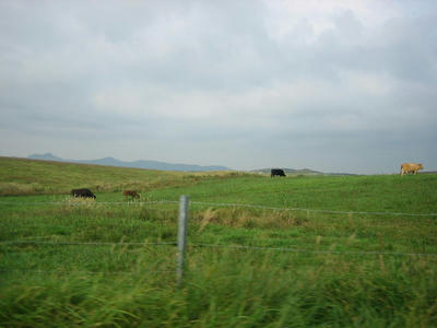IMG_0012.JPG