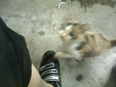P1000001.JPG