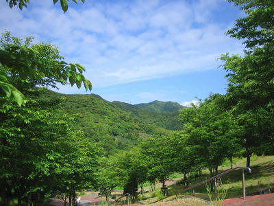 IMG_0071.JPG