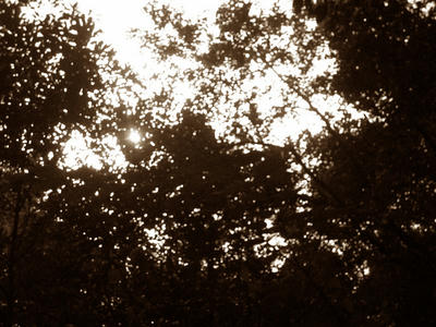IMG_0005-2.jpg