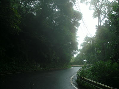 DSC00347.JPG