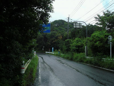 DSC00377.JPG
