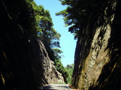 DSC00451.JPG