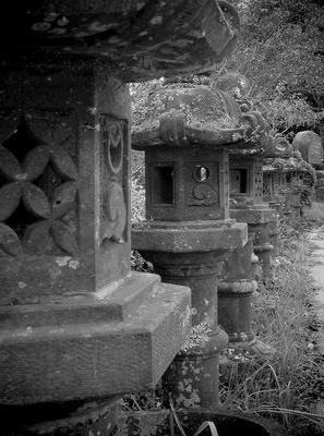 DSC00507-2.jpg
