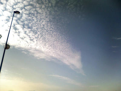 e2413559.jpg