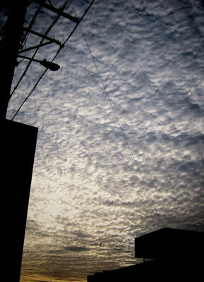 IMG_0379-2.jpg