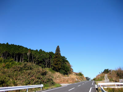 IMG_0453-2.jpg