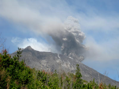 IMG_0504-3.jpg