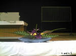 2008-5.jpg