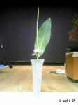 2008-12.jpg