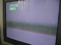 IMG_5801.jpg
