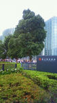 201007011230000.jpg