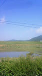 201106030835000.jpg
