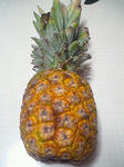 6a663a83jpeg