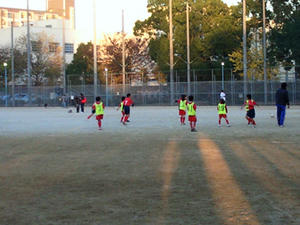 NEC_0133.jpg