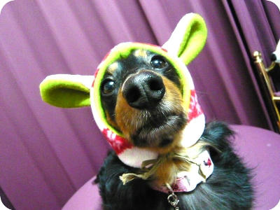 2011.01.01.jpg