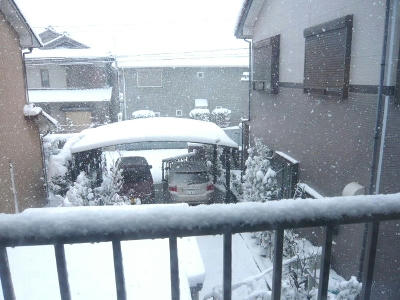 2011.01.16-4.jpg