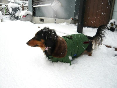 2011.01.16-1.jpg