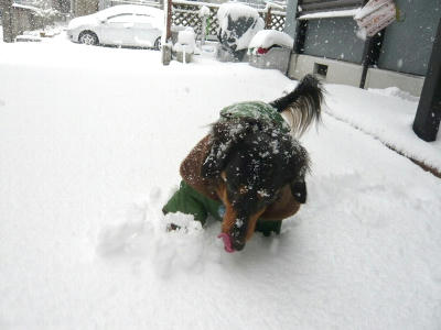 2011.01.16-3.jpg
