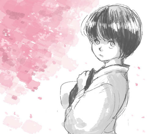 kotakasugi.jpg