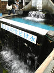 SBSH0135_R.jpg