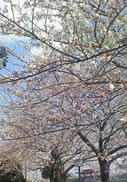 200803271319000.jpg