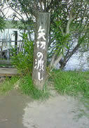 200803271450000.jpg