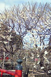 iwase110128.jpg