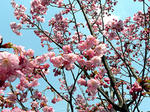 iwase110331.jpg