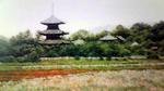 iwase0624.jpg