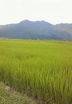 iwase0722.jpg
