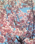 iwase120406.jpg