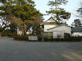 d966567ejpeg